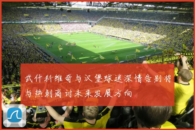 武什科维奇与汉堡球迷深情告别将与热刺商讨未来发展方向